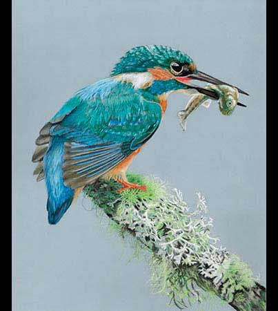 Wildlife Paintings