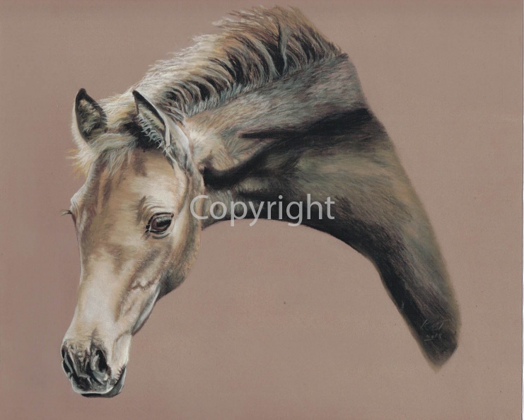 LOYALTY 20 X 20 INCHES Professionally Double Mounted/Framed £200 PASTEL AUCTIONED TO HELP FOR HEROES :) BLOG.jpg