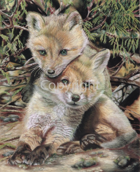 FOX CUBS BLOG.jpg